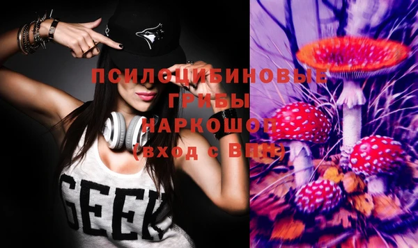jwh Белокуриха
